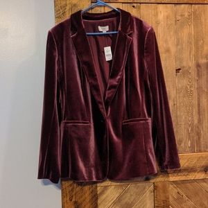 Loft Outlet Velour Blazer